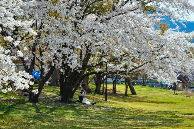 天菜的视频作品 天菜更适合移动创作场景