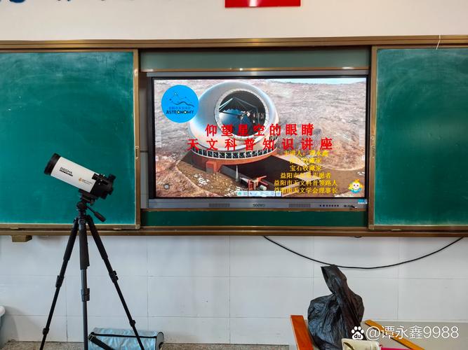 久久人人爽人人爽人人片AV宅男