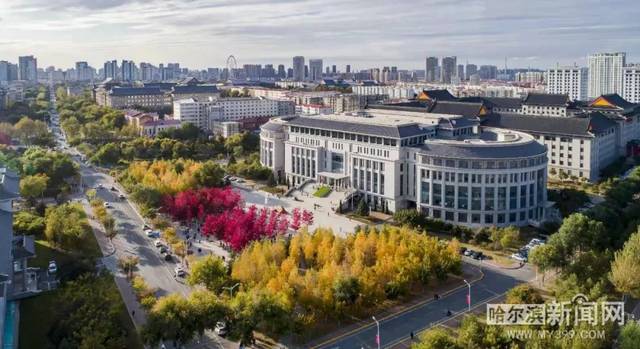 久久人人爽人人爽人人片AV宅男 久久看看这些总比出去应酬强