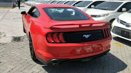 啄木鸟系列 足球教练