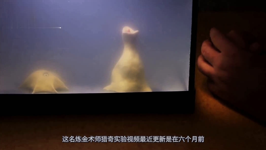 广州魔女豆 百度地图直接搜索“魔女豆”