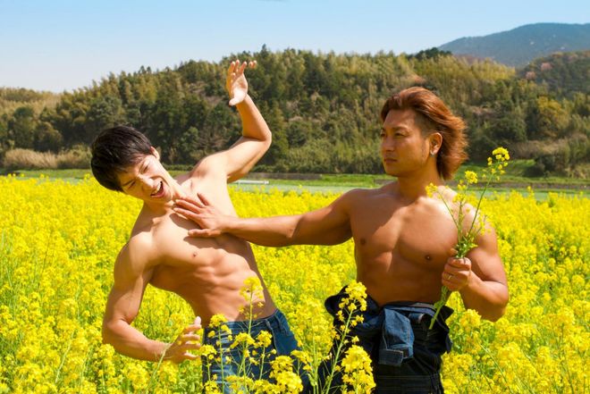 a 视频 视频积极的视频网络环境