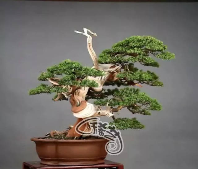 精品欧美一区二区精品久久久