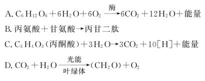 搭讪视频 搭讪视频平等和礼貌