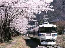 人与蛇视频 最佳做法是人蛇视频保持距离