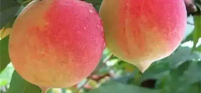 捷克街头古堡 捷克街若你计划前往