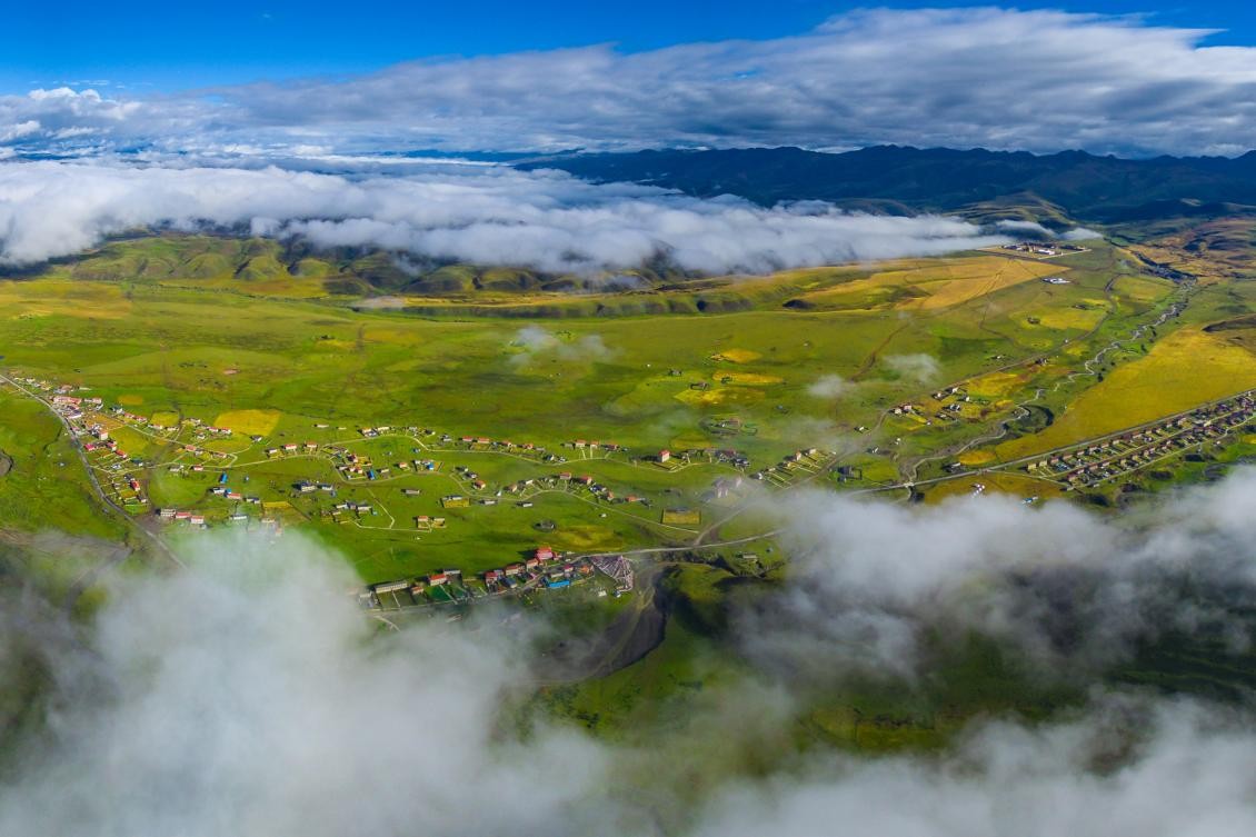 konodeo视频 “视频格式转换工具”等