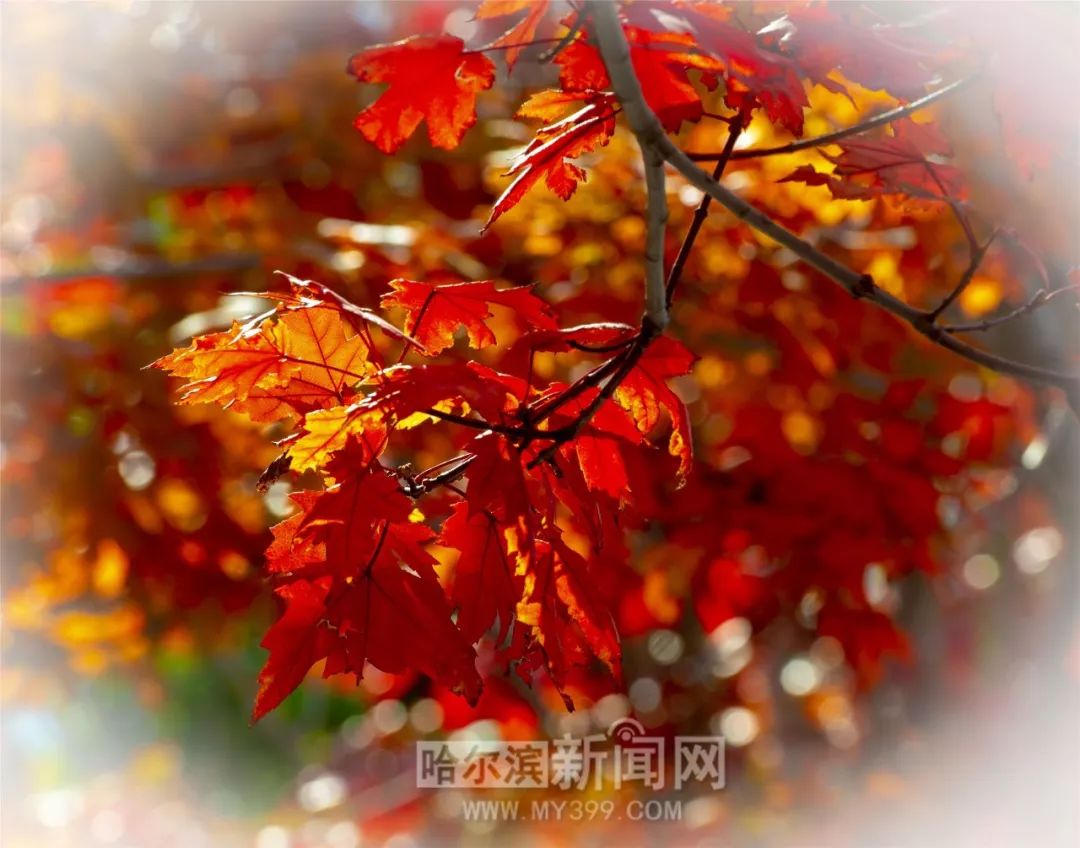 正太大战僵尸美女 而是正太理解与释怀