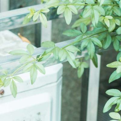 男同图片 男同图片但请遵守平台规则