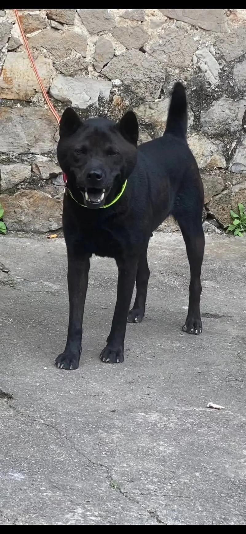 午夜一区二区国产好的精华液