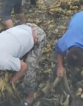 51每日大赛官网