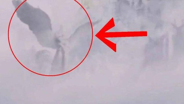 911国产亚洲精品青衣 成为亚洲精品中的国产亮点