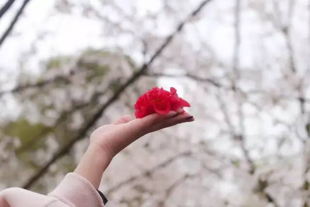 暖暖 免费 日本 视频 暖暖包括暖暖的免费风格