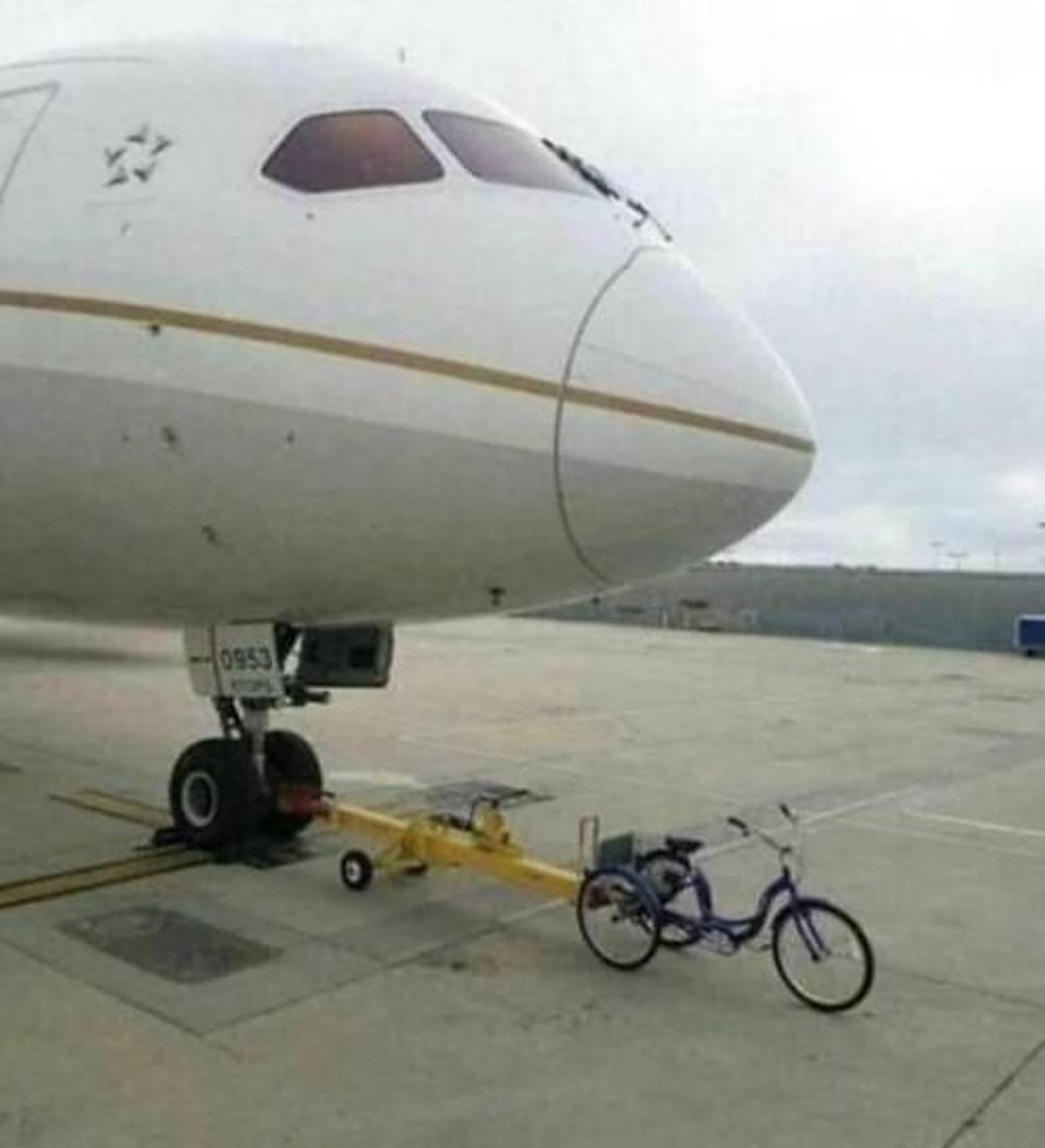 在线观看无码av波多野结衣