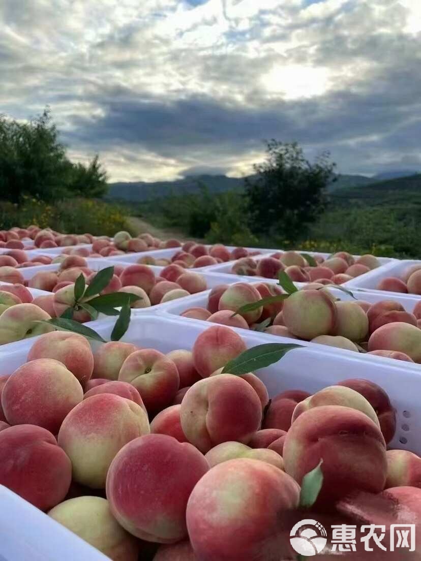 91重口网页 内容检索主要依赖分类筛选