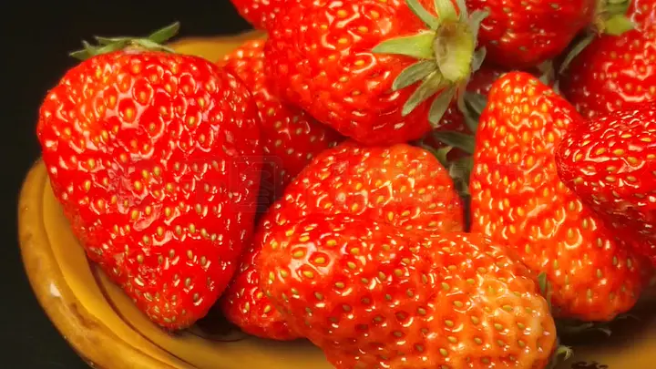 精品无码中文字幕在线