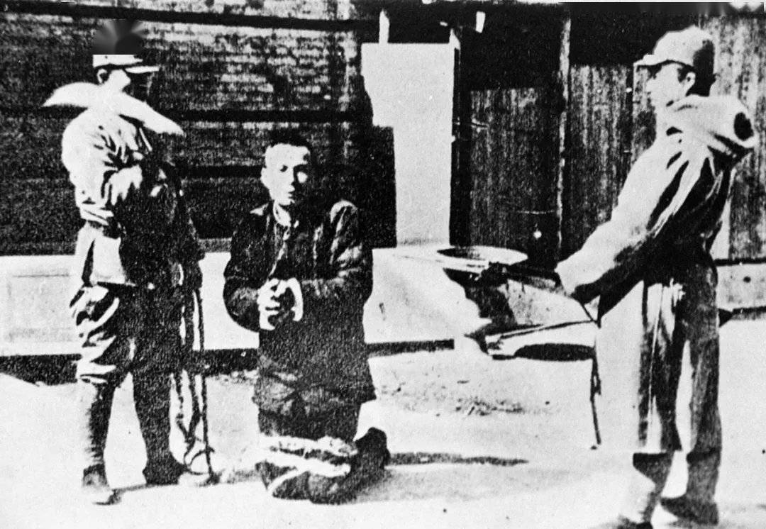 qswyt视频网 建议提供更多上下文或描述