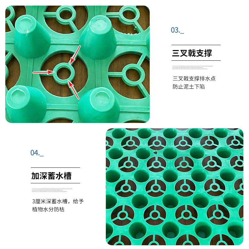 雨后小故事动态