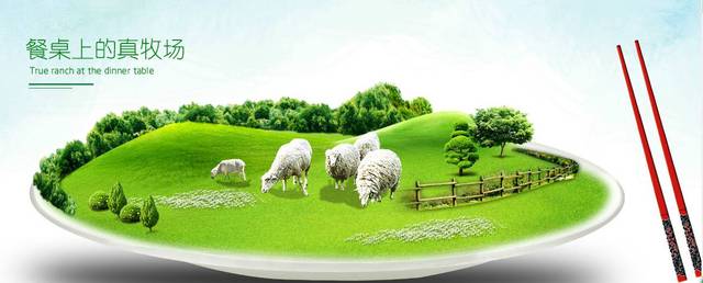 困困狗敏感 狗敏感对干扰变得不耐烦