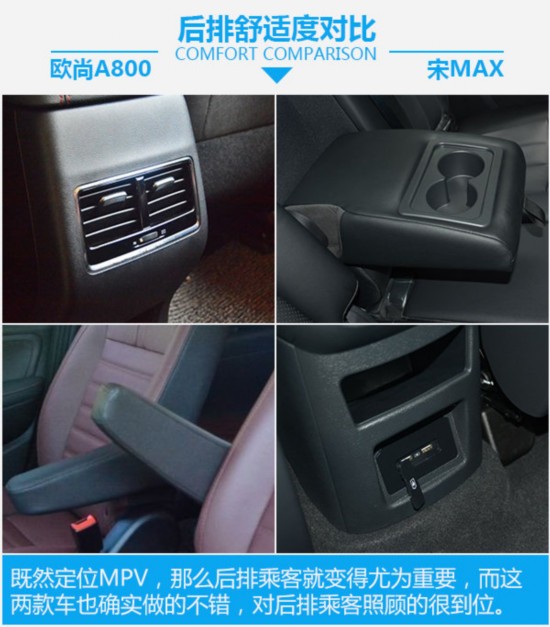 条啄木鸟 吸汁啄木鸟喜欢吸食树液