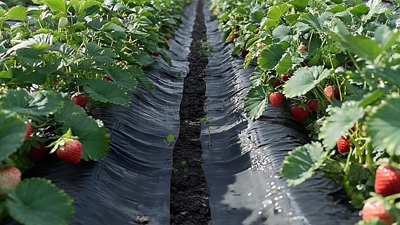 小电影在线播放 极易危害您的设备与财产安全