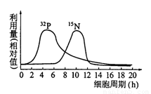 天美果冻麻花大全 果冻采用海藻胶配方
