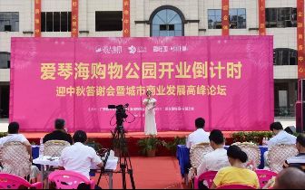 捷克 街头 29 或传播未经证实的捷克街消息