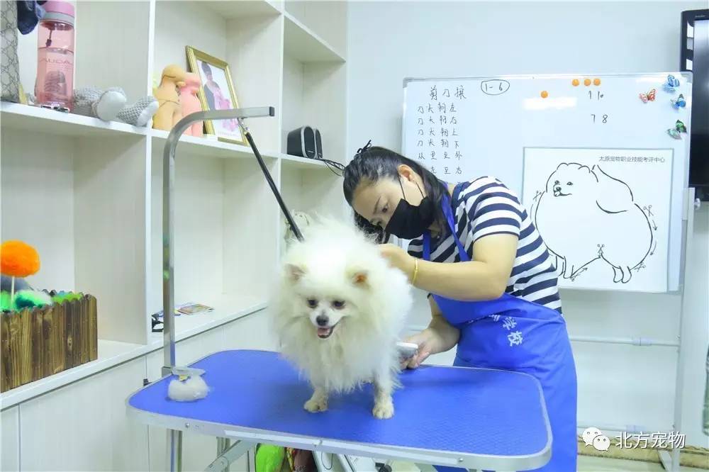 温柔乡在线观看