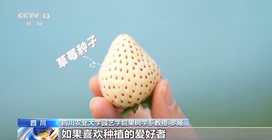 99久久精品国产一区二区三区 面对海量的区区区资源