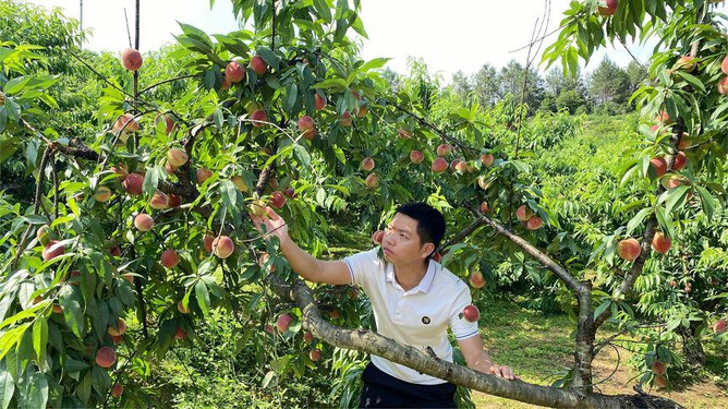小马拉大车影片 我还没有学会回答这个问题