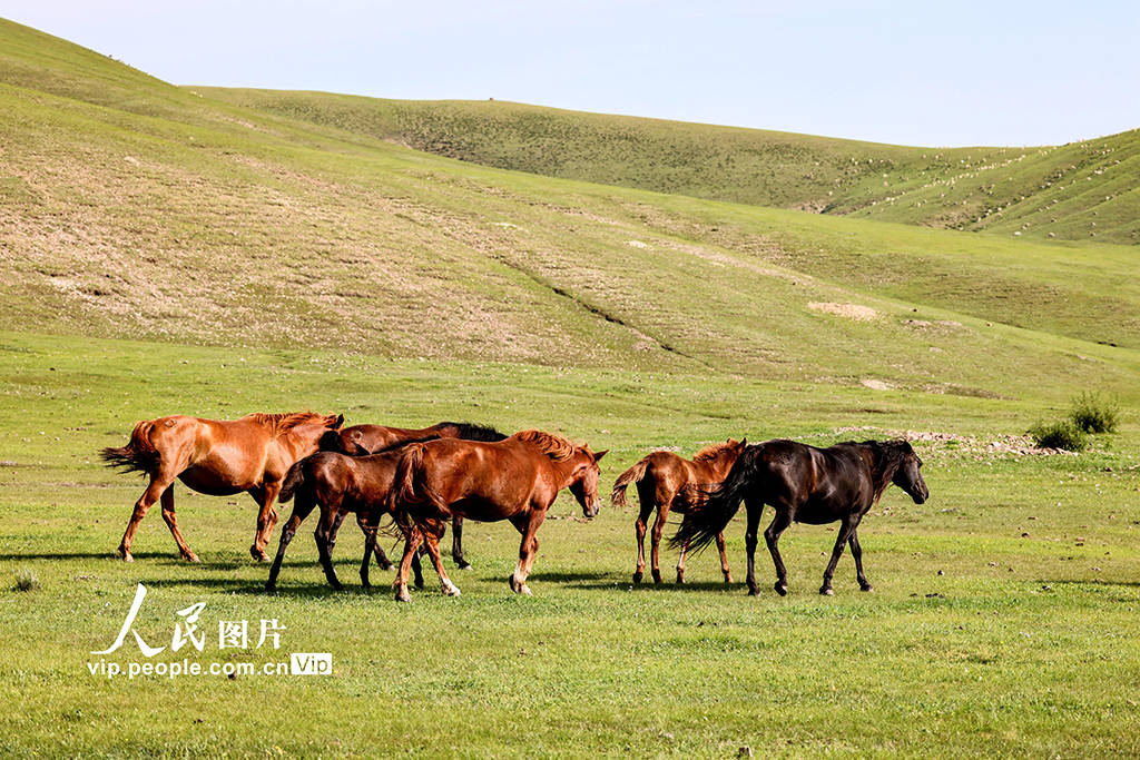 一区二区国产精品精华液