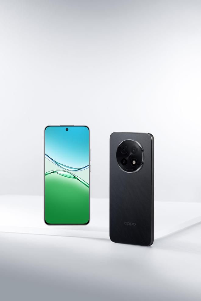 鲍鱼tv网站入口