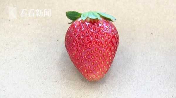 runabyte视频 里面有大量免费教程视频