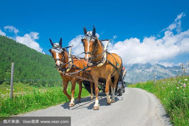 精品动漫同人 精品使用筛选功能（Filter）