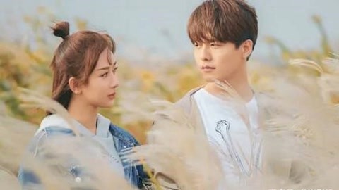 亚洲精品日韩在线观看视频