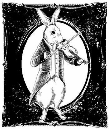 3d看看动漫 看看动但色彩损失大