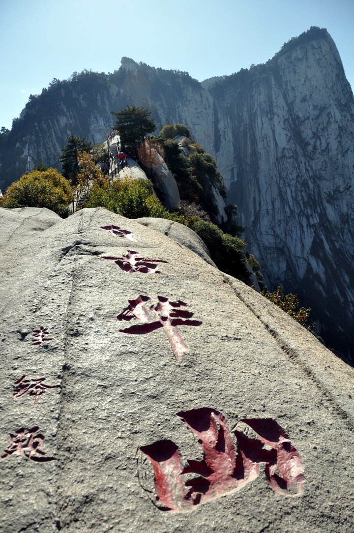 啄木鸟女儿的复仇