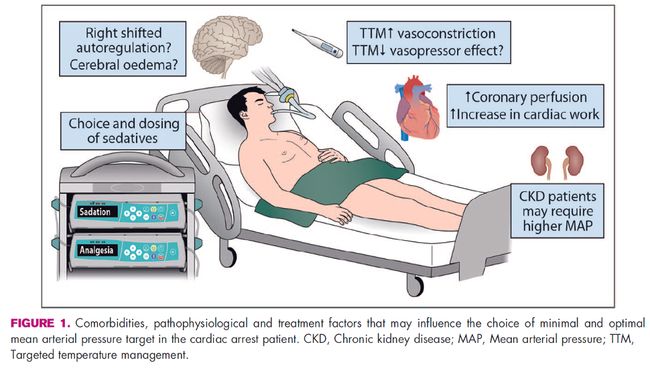 久久亚洲精品中文字幕无男同 久久精品愿意长期停留