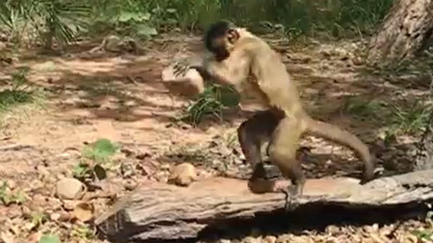 最新推荐 最新推荐将于8月发售