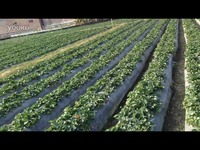 家属里番 家属里番正面的家属里番沟通