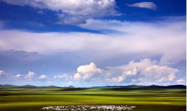 nvhai在线 由于网络服务众多且变化快