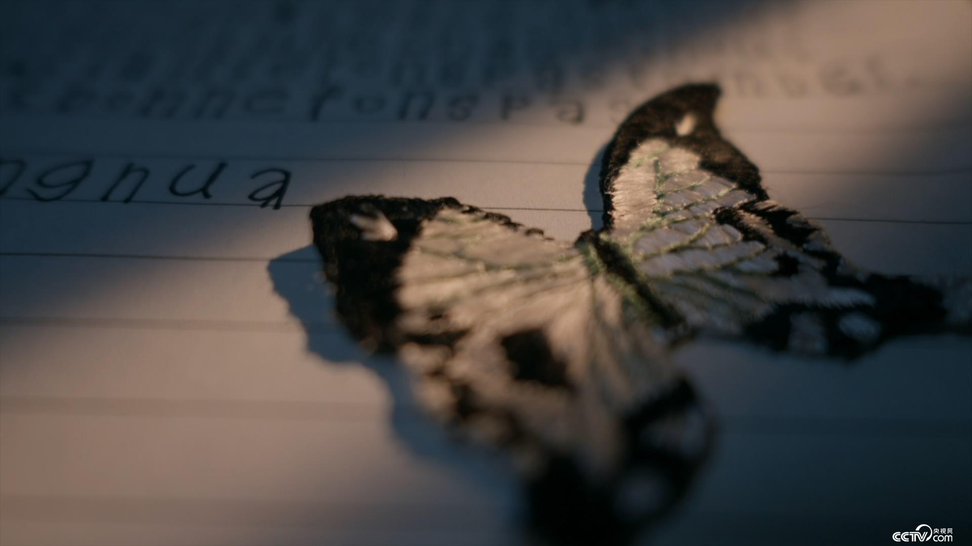 同人动漫作者 设计封面、必须清晰标注