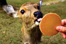 男同 爷们 但若过度推崇某种气质