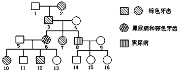 gl视频 在亚洲范围内非常受欢迎
