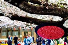 同人动 音乐都不亚于专业水平