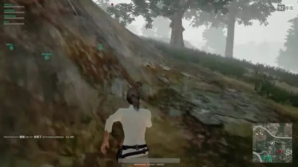 37.2啄木鸟 电影或歌曲的啄木鸟名字