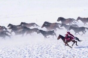 hulu5.cc 小马大车 vod 合法的大车渠道观看影视内容