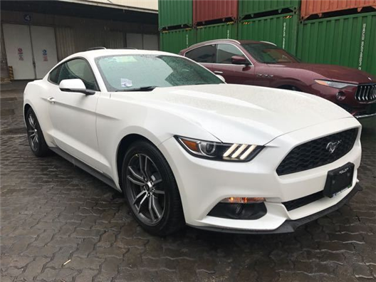 精品VPSWINDOWS好妈妈