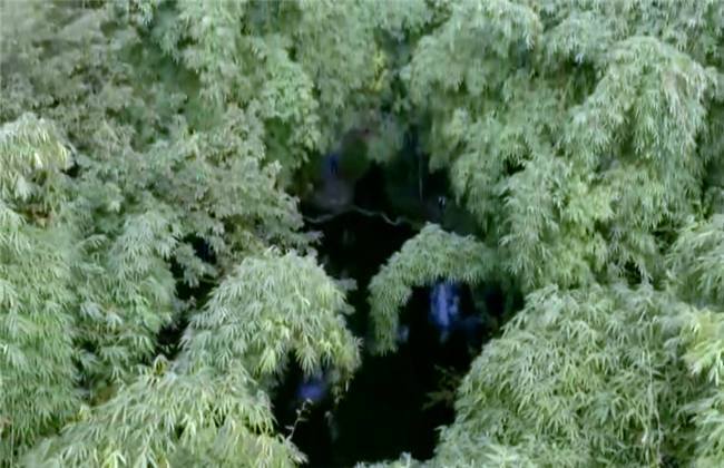 owqoll视频 视频我非常乐意为你提供帮助