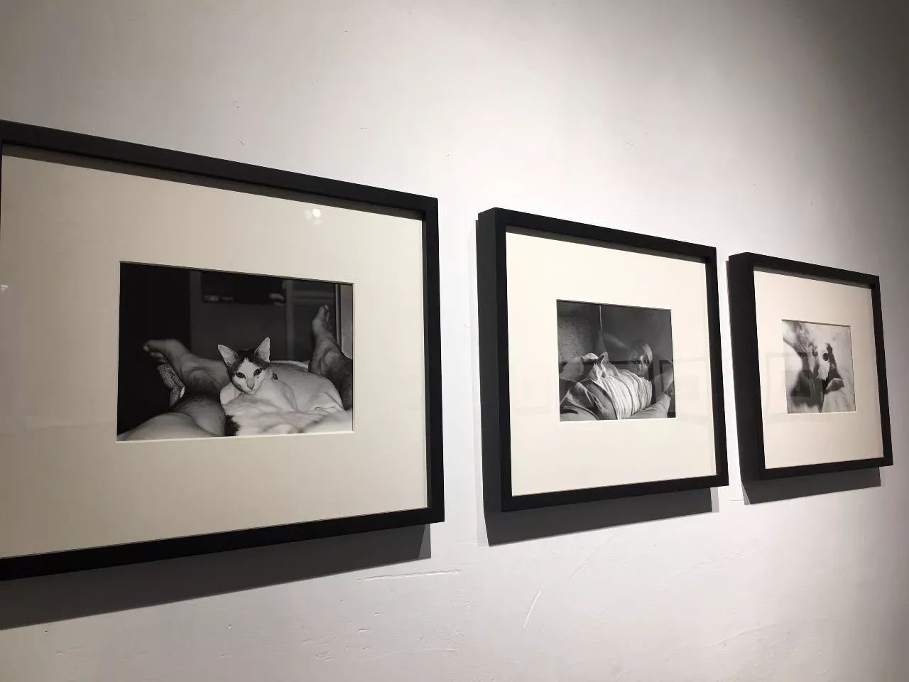 手机在线亚洲国产精品